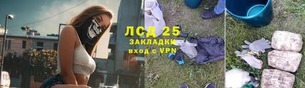 ПСИЛОЦИБИНОВЫЕ ГРИБЫ Покров